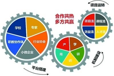 一串红的种植方法