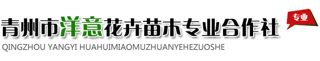 青州市洋意花卉苗木专业合作社